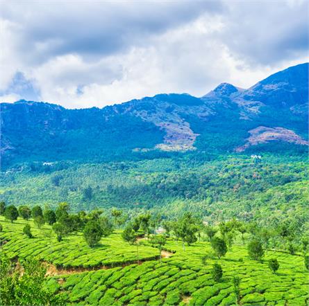 Western Ghats biodiversity